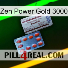 Zen Power Gold 3000 36